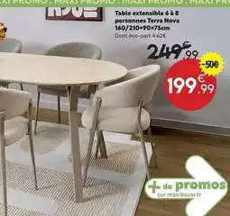Maxi Bazar Table extensible 6 a personnes terra nova offre