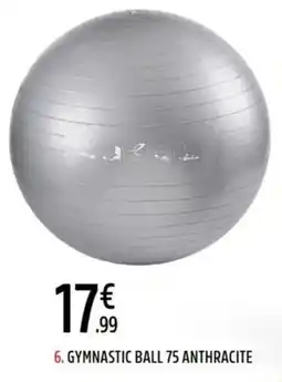 Intersport Gymnastic ball 75 silver offre