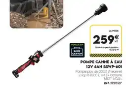 Tout faire matériaux Milwaukee pompe canne à eau 12 V 6AH BSWP-601 offre