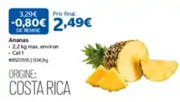 Costco Ananas offre