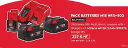 Tout faire matériaux Red Lithium batteries offre