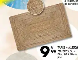La Foir'Fouille Tapis « Histoire Naturelle » offre