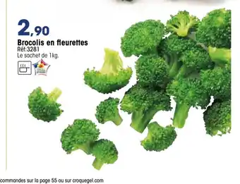Croque Gel Brocolis En Fleurettes offre