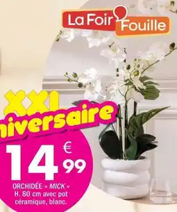 La Foir'Fouille Orchidee offre