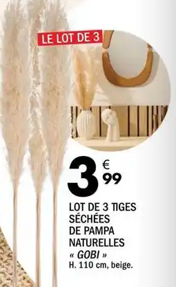 La Foir'Fouille Lot de 3 tiges séchées de pampa naturelles offre