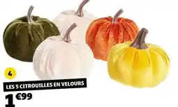 GiFi Les 5 citrouilles en velours offre