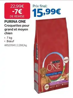 Costco Purina - croquettes pour grand et moyen chien offre