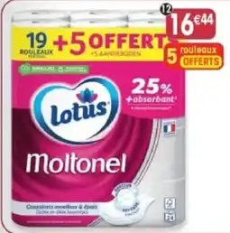 Maximo Lotus Moltone offre