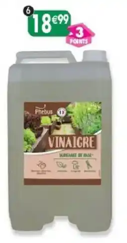 Maximo Phebus VINAIGRE offre