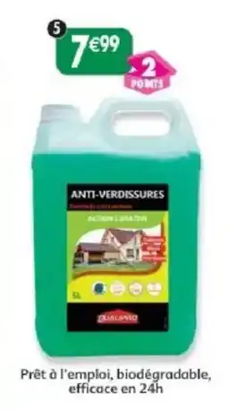 Maximo QUALANO Anti-verdissures offre