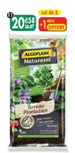 Maximo ALGOFLASH Terreau Plantation offre