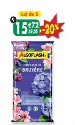 Maximo ALGOFLASH TERRE DITE DE BRUYÈRE offre