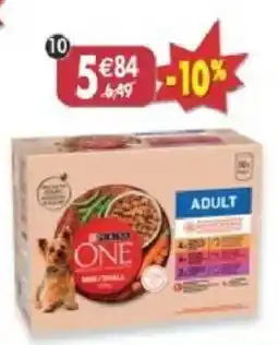 Maximo Hill's ONE Adult offre