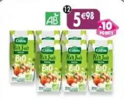 Maximo Cidou Pur Jus offre