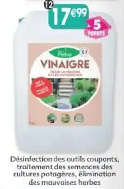 Maximo Phébus Vinaigre offre