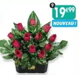 Maximo NOUVEAU ! offre