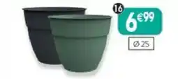Maximo COLONA Pot offre