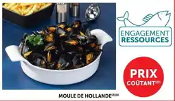 Super U MOULE DE HOLLANDE offre