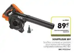 Tout faire matériaux Aeg - souffleur 18v offre