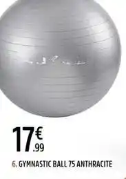 Intersport Gymnastic ball 75 anthracite offre