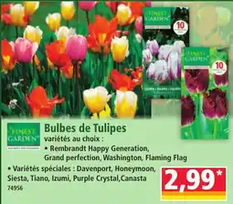 Norma FINEST GARDEN Bulbes de Tulipes offre