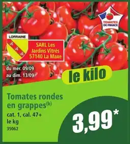 Norma SARL Les Jardins Vitrés Tomates rondes en grappes offre