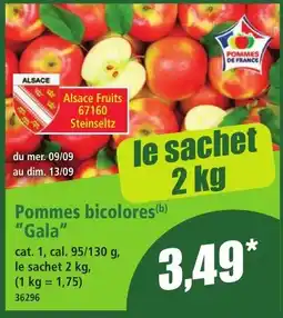 Norma Alsace Fruits Pommes bicolors(b) "Gala" offre