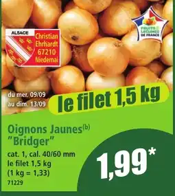 Norma Bridger Oignons Jaunes offre