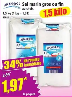 Norma MEANDROS Sel marin offre