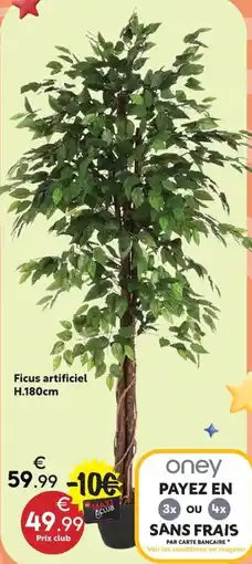 Maxi Bazar Ficus artificiel offre