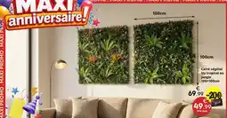 Maxi Bazar Izy tropical ou jungle offre