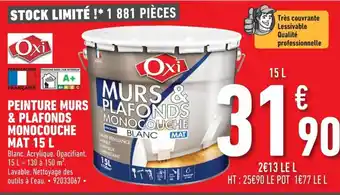 Brico Cash Peinture murs & plafonds Monocouche Mat 15 L offre