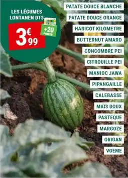 Gamm vert LES LÉGUMES LONTANEN D13 offre