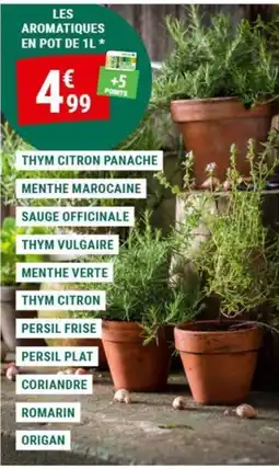 Gamm vert LES AROMATIQUES offre