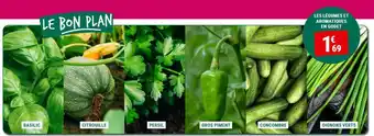 LES LÉGUMES ET AROMATIQUES EN GODET