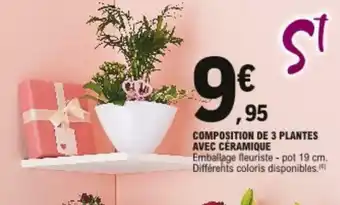 E.Leclerc Composition de 3 Plantes avec céraique offre