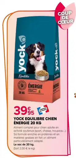 Kiriel YOCK ÉQUILIBRE CHIEN ÉNERGIE offre