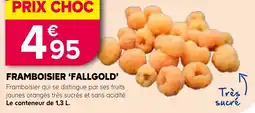 Kiriel Framboisier 'FALLGOLD' offre
