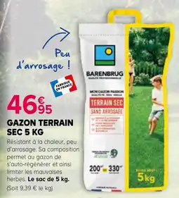 Kiriel BARENBRUG Gazon terrain sec offre