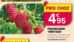 Kiriel FRAMBOISIER 'HÉRITAGE' offre