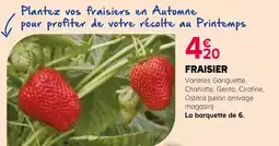 Kiriel FRAISIER offre