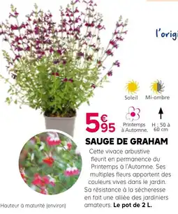 Kiriel SAUGE DE GRAHAM offre