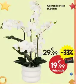 Maxi Bazar Mick orchidée offre