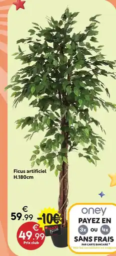 Maxi Bazar Ficus artificiel offre