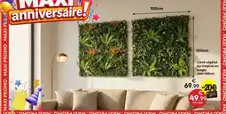 Maxi Bazar Carré végétal izy tropical offre