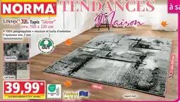 Norma Lifetex xl tapis shiraz aquarelle offre