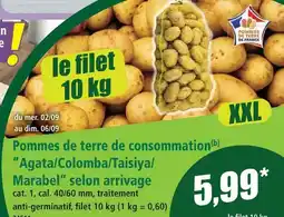 Norma Pommes de terre de consommation offre