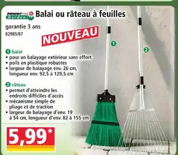 Norma Power garden balai à feuilles offre
