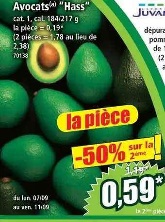 Norma Avocats hass offre