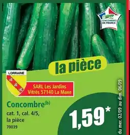 Norma Concombre offre